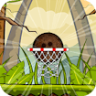 Coconut Basketball